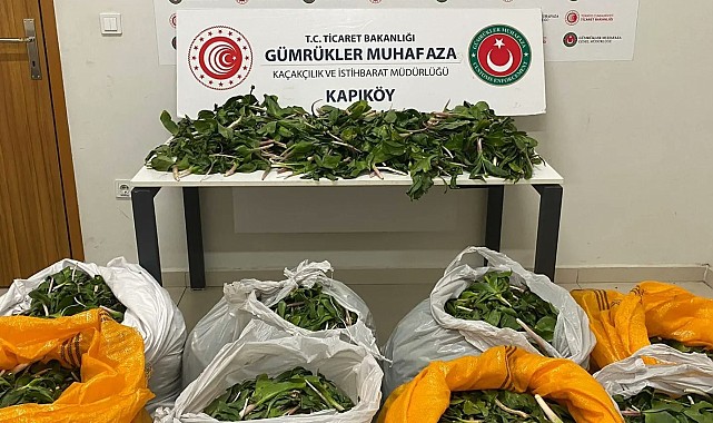 İran uyruklu 6 kişiye biyoçeşitliliği tahripten toplam 2 milyon 322 bin 846 lira ceza