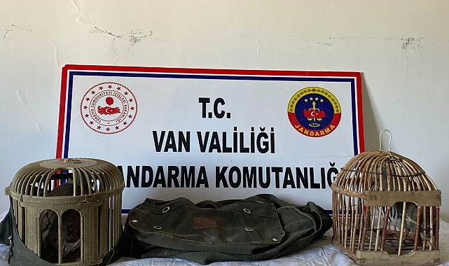 Kafes avcısına 16 bin 121 lira idari para cezası kesilecek