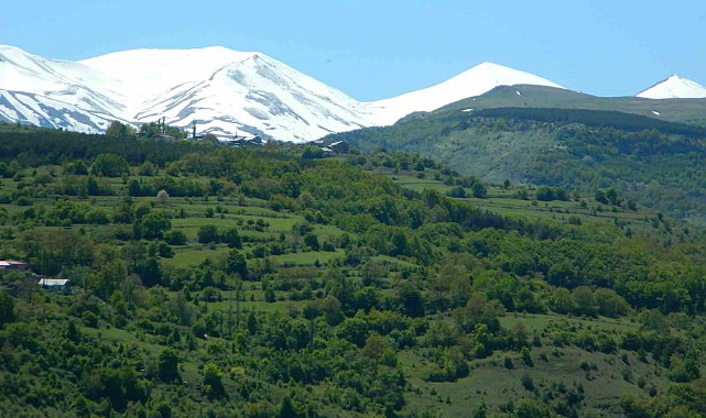 Posof'ta bahar görsel şölene dönüştü