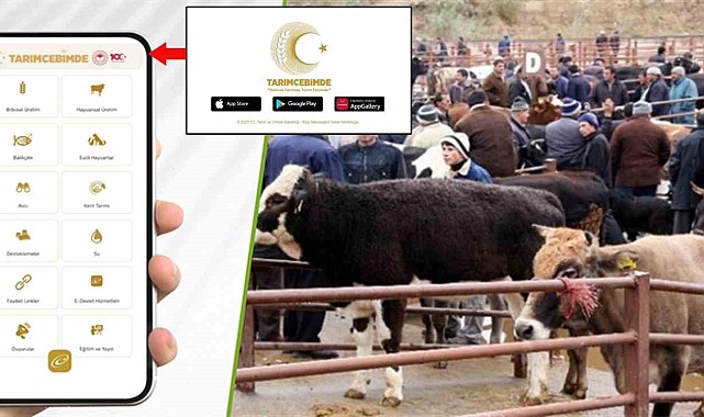 "Tarım Cebimde" ile 3 adımda kurbanlık sorgulama