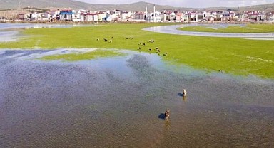 Yağmurlar, çiftçiyi tedirgin etmeye başladı