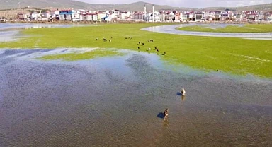 Yağmurlar, çiftçiyi tedirgin etmeye başladı