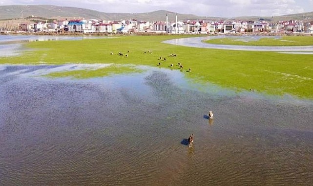 Yağmurlar, çiftçiyi tedirgin etmeye başladı