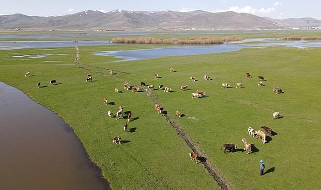 Ardahan'da doğa yeniden canlandı