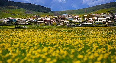 Ardahan ovası canlandı