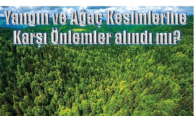 Ardahanlılar orman yangınlarına karşı önlem bekliyor