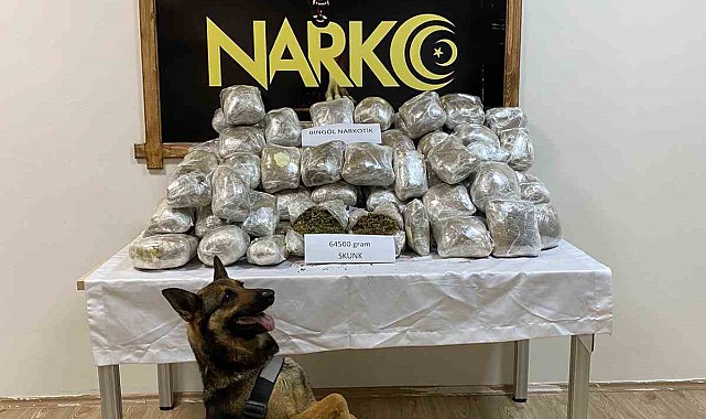 Bingöl'de 64 kilo uyuşturucu ele geçirildi: 1 tutuklama