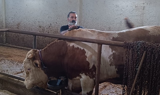 Bu kurbanlığın benzeri çok az