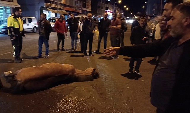 Bunun adı vicdansızlık