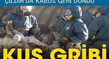 Çıldır’da kuş gribi salgını!
