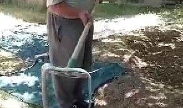 Cuma namazı için evden çıktı, bahçede gördüğü manzara karşısında neye uğradığını şaşırdı