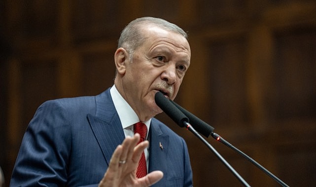 Dosya Erdoğan'ın önüne gidiyor! Sokak hayvanlarıyla ilgili düzenlemede son aşamaya gelindi