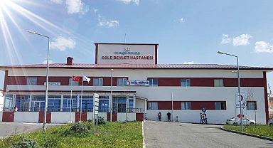Göle'de sahipsiz köpek dehşeti