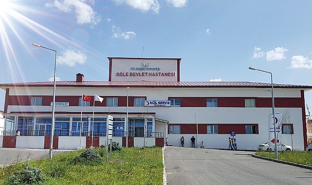 Göle'de sahipsiz köpek dehşeti