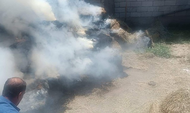 Iğdır'da yüzlerce saman balyası küle döndü