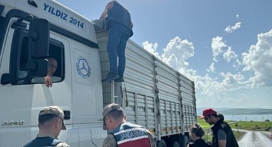 İl Tarım, kente getirilen kaçak hayvanlara geçit vermedi