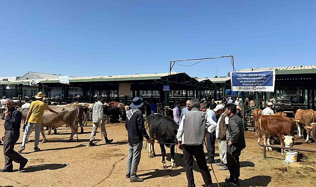Kurbanlık keçisini dolandırıcılara kaptıran yetiştiricinin imdadına polis yetişti