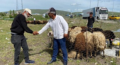 Kurbanlık satışları devam ediyor