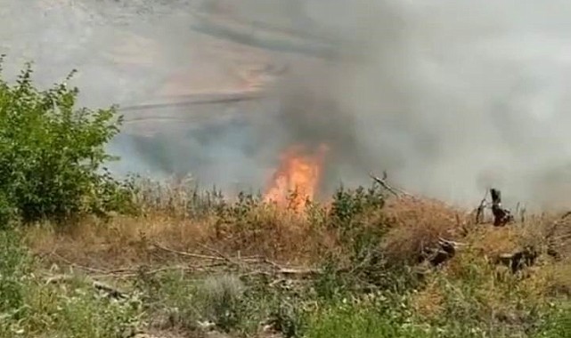 Kuşlar elektrik tellerine çarptı, kıvılcımlar yangına neden oldu