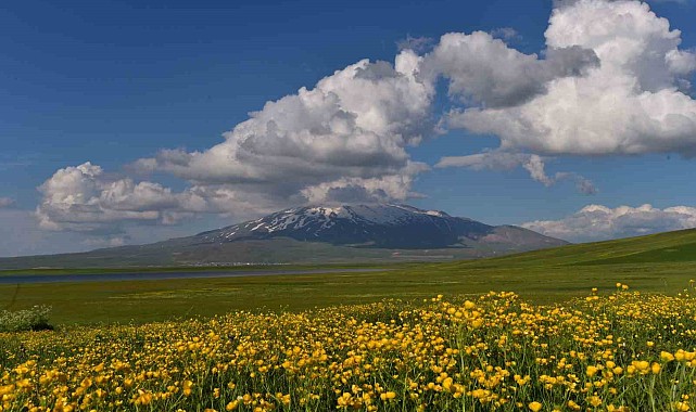 Sütey Yaylası ve Süphan Dağı'ndan hayranlık uyandıran görüntüler