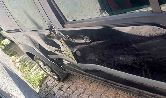 Tunceli'de ayı, seyir halindeki araca saldırdı