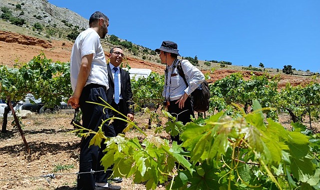 "Türkiye'de Tarıma Dayalı Sanayi'de Rekabet Gücünün Artırılması Projesi" faaliyetleri başladı