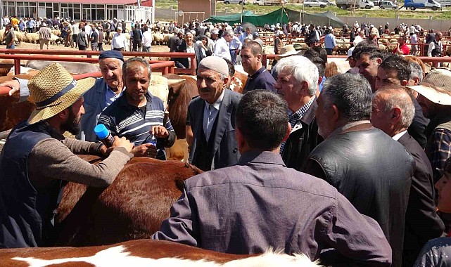 Van'da kurban pazarlarında sıkı pazarlıklar başladı