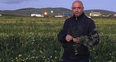 Arda-Fed başkanı Şimdi, “THY yurtdışı biletlerinde neden indirim yapıyor?”