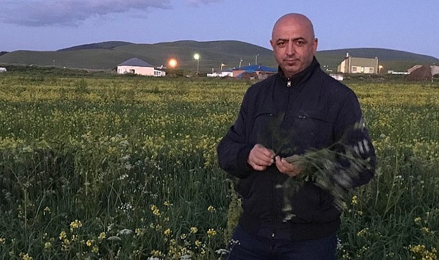 Arda-Fed başkanı Şimdi, “THY yurtdışı biletlerinde neden indirim yapıyor?”