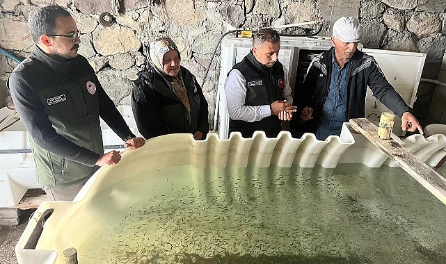 Ardahan’da Alabalık çiftliklerinin sayısı artıyor
