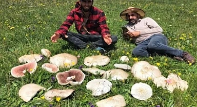 Ardahan'da mantar bereketi