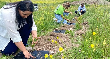 Aronya meyvesi Posof'ta toprakla buluştu