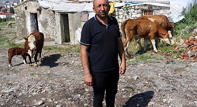 Belediye Halilefendi mahallesindeki ahırları yıkmak mı istiyor?