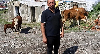 Belediye Halilefendi mahallesindeki ahırları yıkmak mı istiyor?