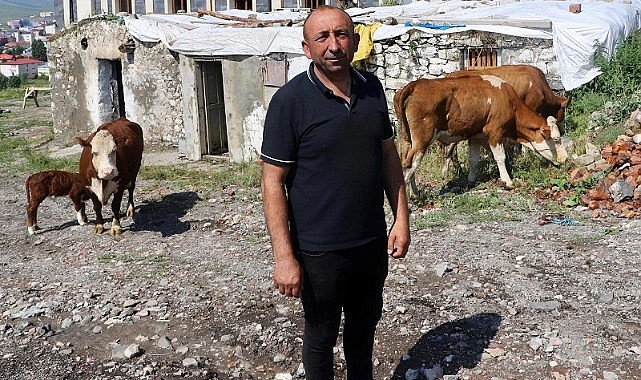Belediye Halilefendi mahallesindeki ahırları yıkmak mı istiyor?