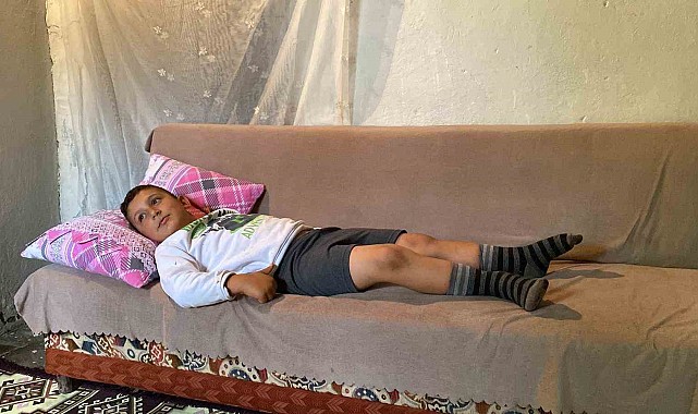 Bingöl&#039;de başıboş köpekler 8 yaşındaki çocuğa saldırdı