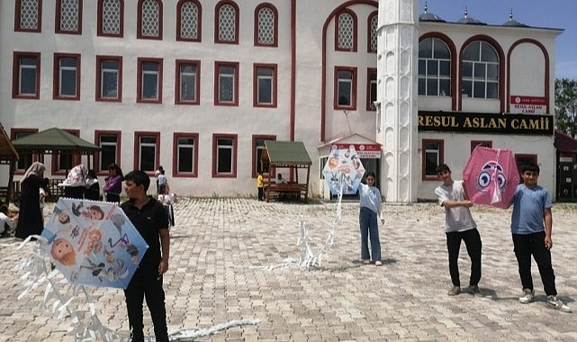 Çıldır'da uçurtma şenliği coşkusu