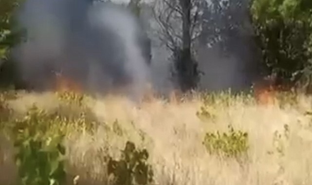 Elazığ'da örtü ve bahçe yangını