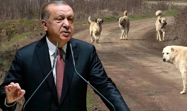 Erdoğan: Kimse bize merhamet dersi vermeye kalkmasın, Meclis tatile girmeden meseleyi çözeceğiz