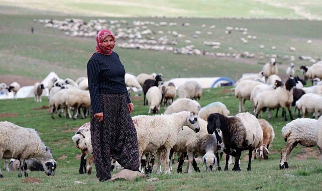 Erzurum'da 3 bin rakımda 3 yüz çadır kurulu