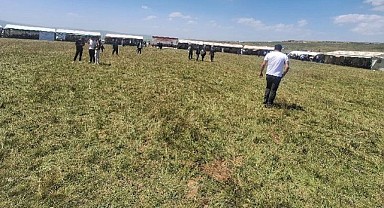 Festivaller içi boş eğlencelere dönüştü