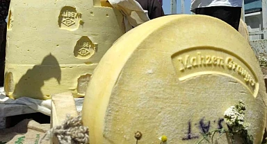 Göle Kültür ve Kaşar Festivalinin programı belli oldu