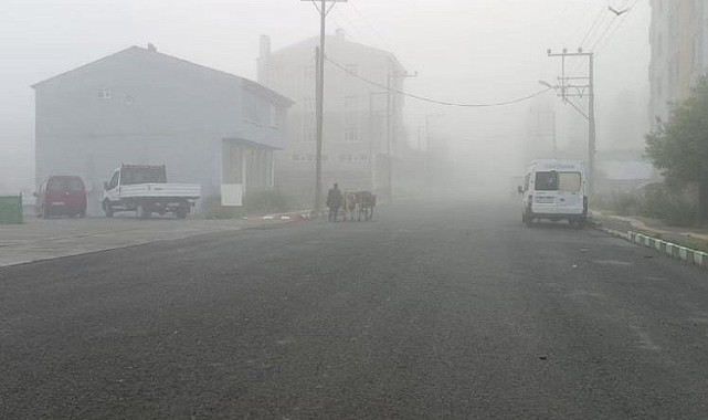 Göle'de sis etkili oldu