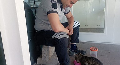 Her sabah görev yaptığı yere gelen kediyi besliyor