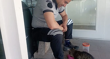 Her sabah görev yaptığı yere gelen kediyi besliyor