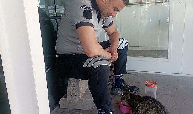 Her sabah görev yaptığı yere gelen kediyi besliyor