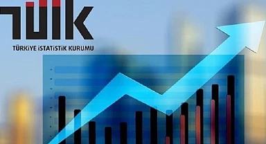 İstihdam oranı en yüksek il Ardahan!