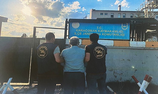 Jandarma cinayet şüphelisini yakaladı