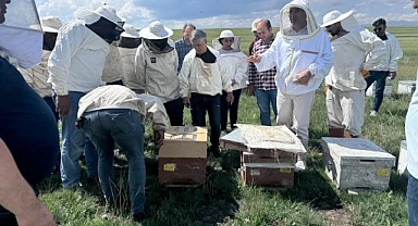Kafkas Arısı Gen Merkezi'nden uygulamalı eğitim