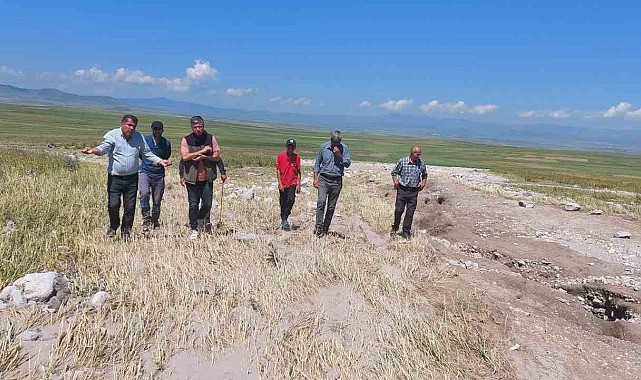 Kars'ta ekili araziler yağmurdan zarar gördü